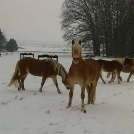 Gaestezimmer * Heßdorf