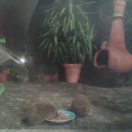 Gaestezimmer * Heßdorf