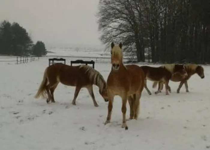 Gaestezimmer * Heßdorf